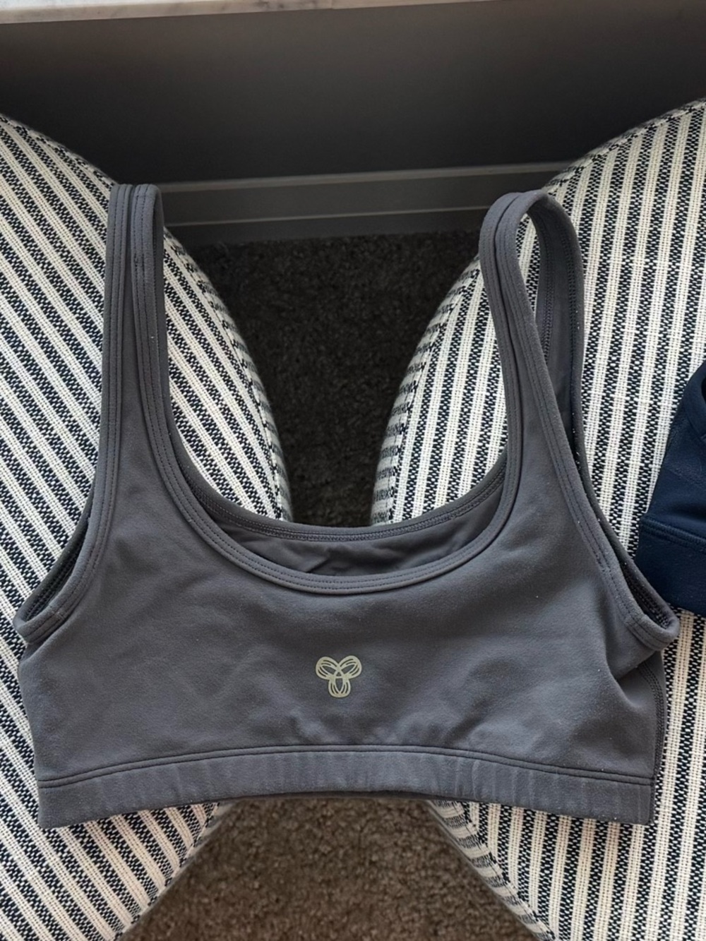 Aritzia Golden dark gray sports bra